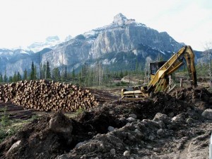 logging-07-51 logging-07-51